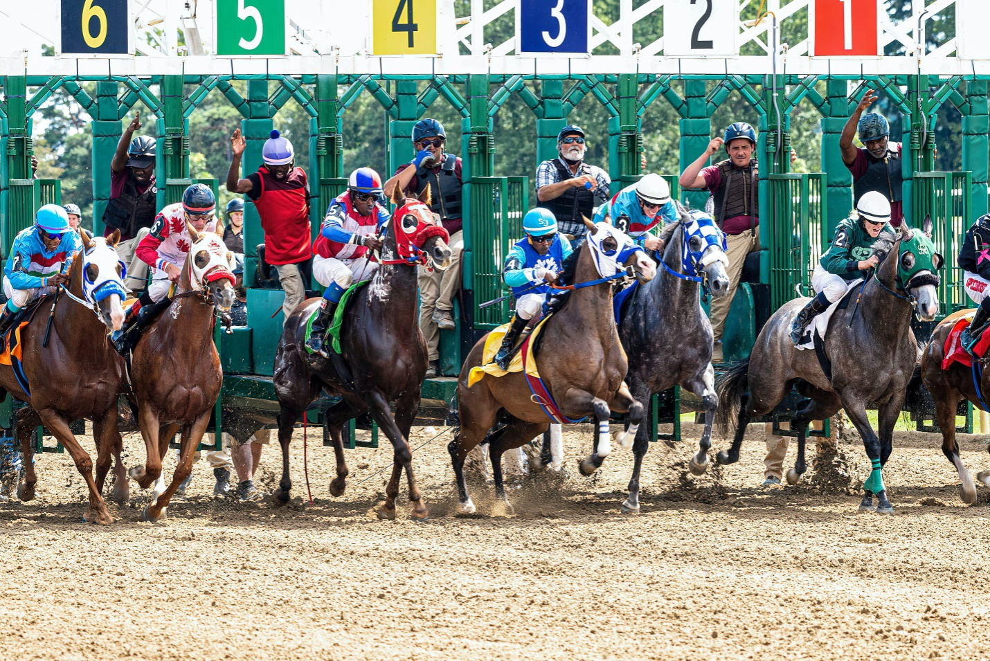 horse racing picks