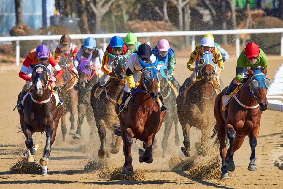 Competitive Horse Racing.